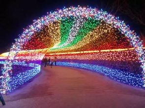 黃河岸邊不夜天 千萬彩燈鑄就光影奇境，點(diǎn)亮舌尖上的文旅盛宴