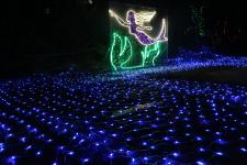 璀璨平?jīng)?三千萬盞彩燈編織夢幻光影世界